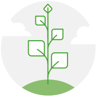 ENVIRONMENTAL AND QUALITY POLICY