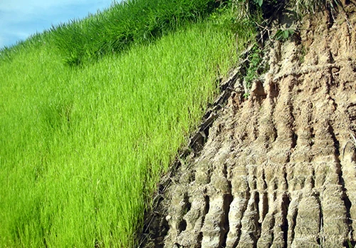 Soil Stabilization filled with soil promotes vegetation