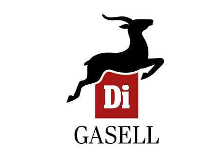 IP-Group AB Gasell 2025
