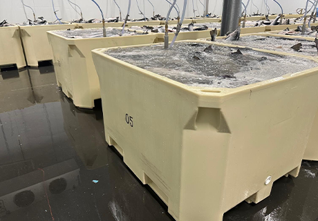 IPFP-1000 PUR 1020 L